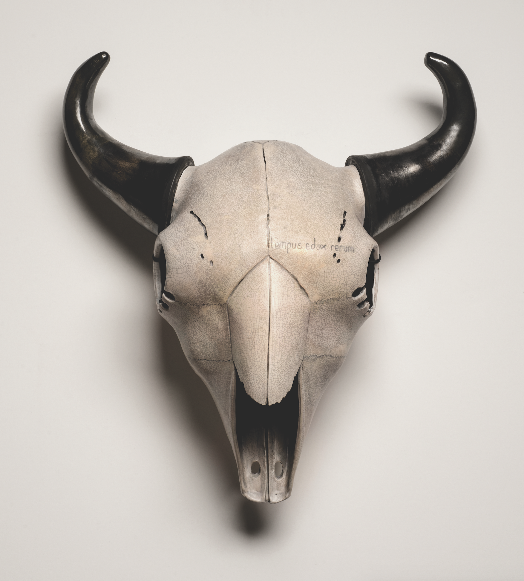 Bison Bison Bison — Cannupa Hanska Luger